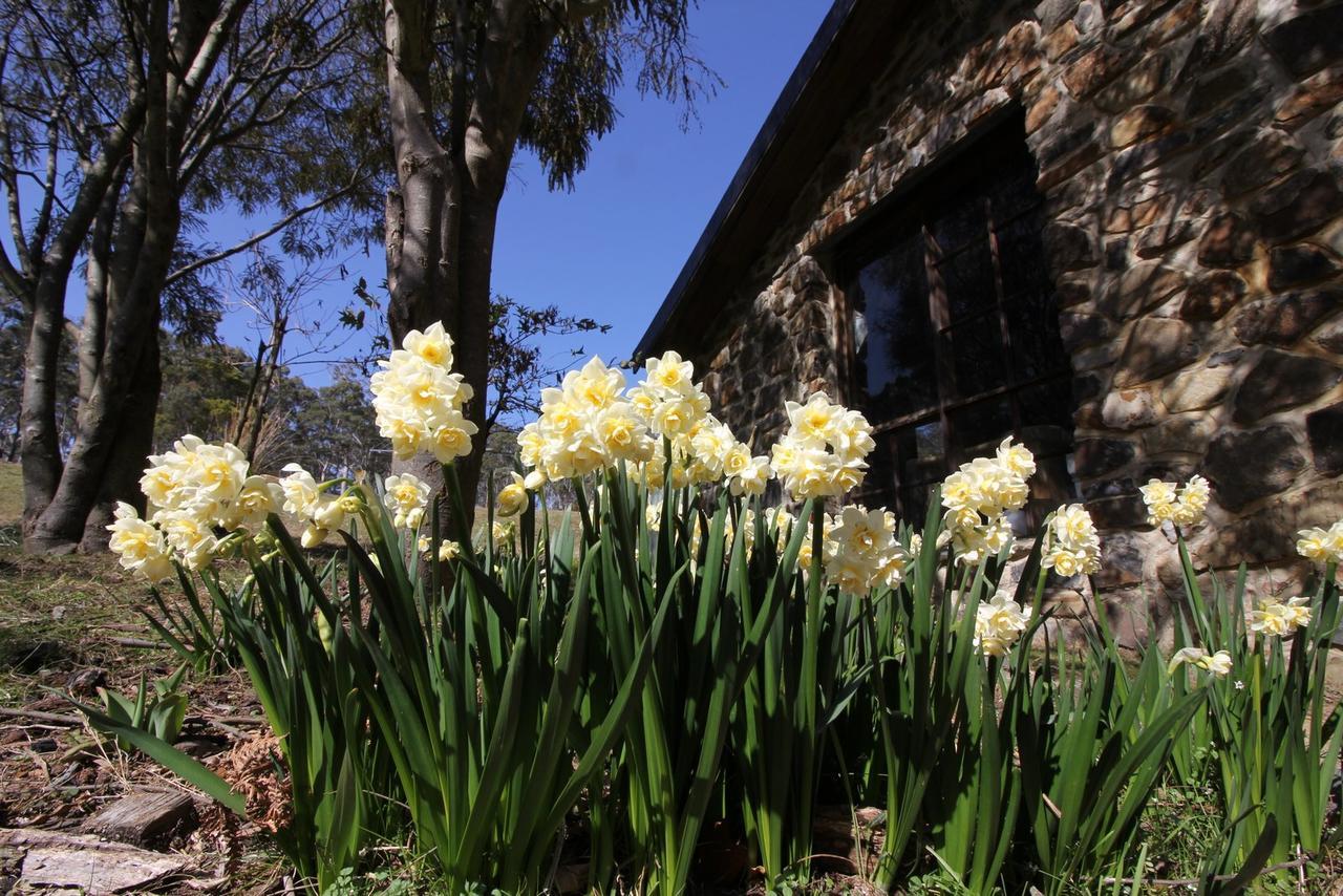 The Great House Bnb Buckland Exterior photo